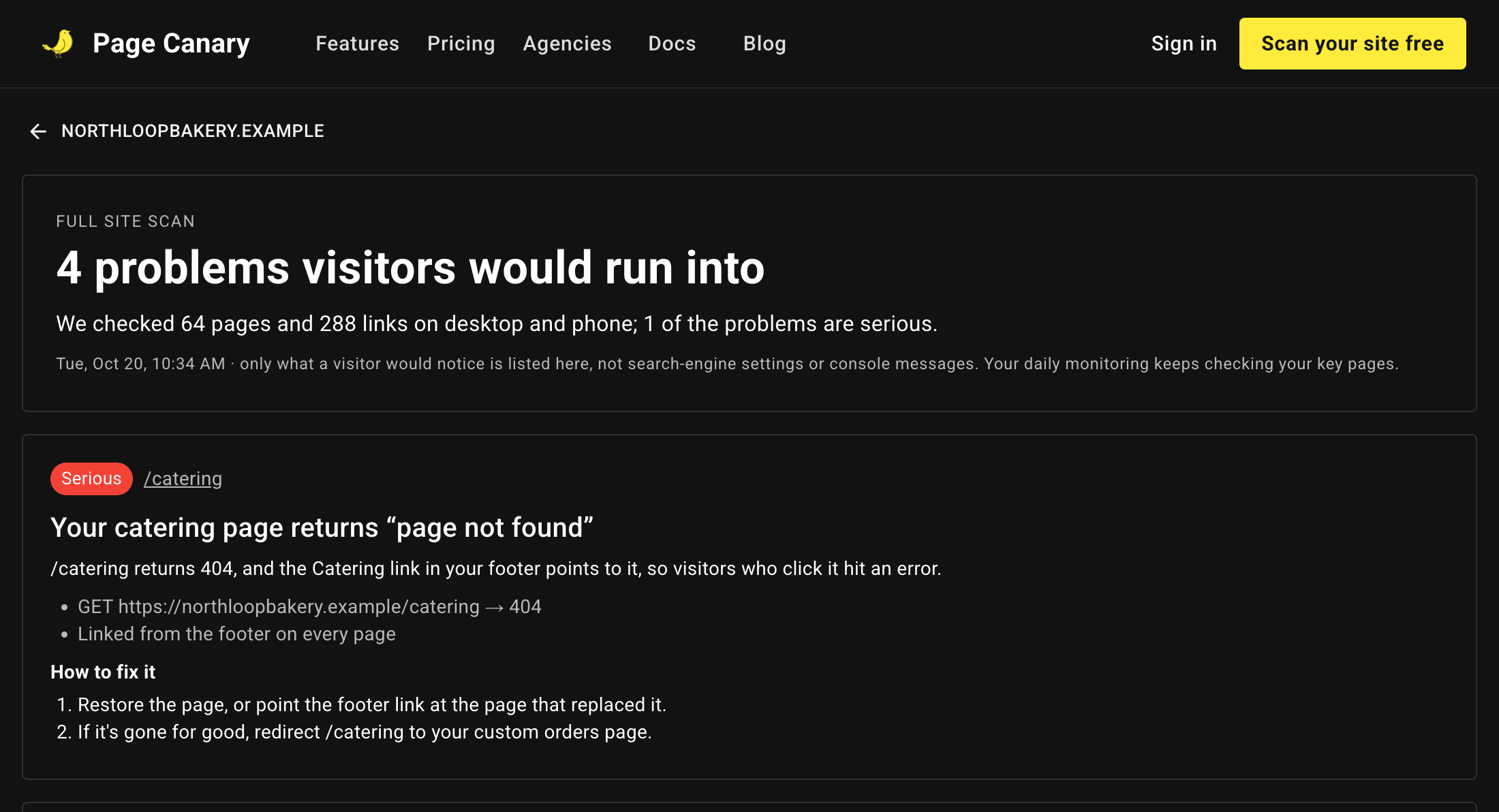 A full site scan report: the problems, worst first, with how to fix each